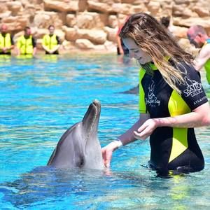 Meet your Posher, Katy